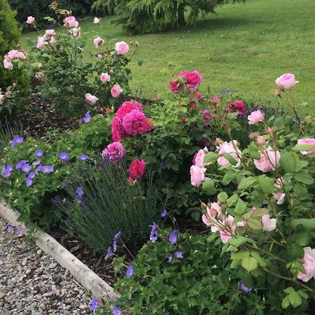Rock Park Farm - Home From Home Accommodation Yeoford Extérieur photo